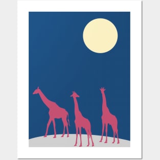 Giraffes walking in the savanna by night Posters and Art